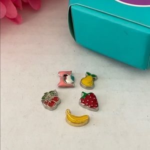 Charms for Floating Lockets & Bracelets